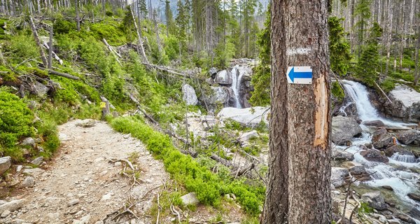 Sécuriser sa maison contre les cambrioleurs : techniques et astuces