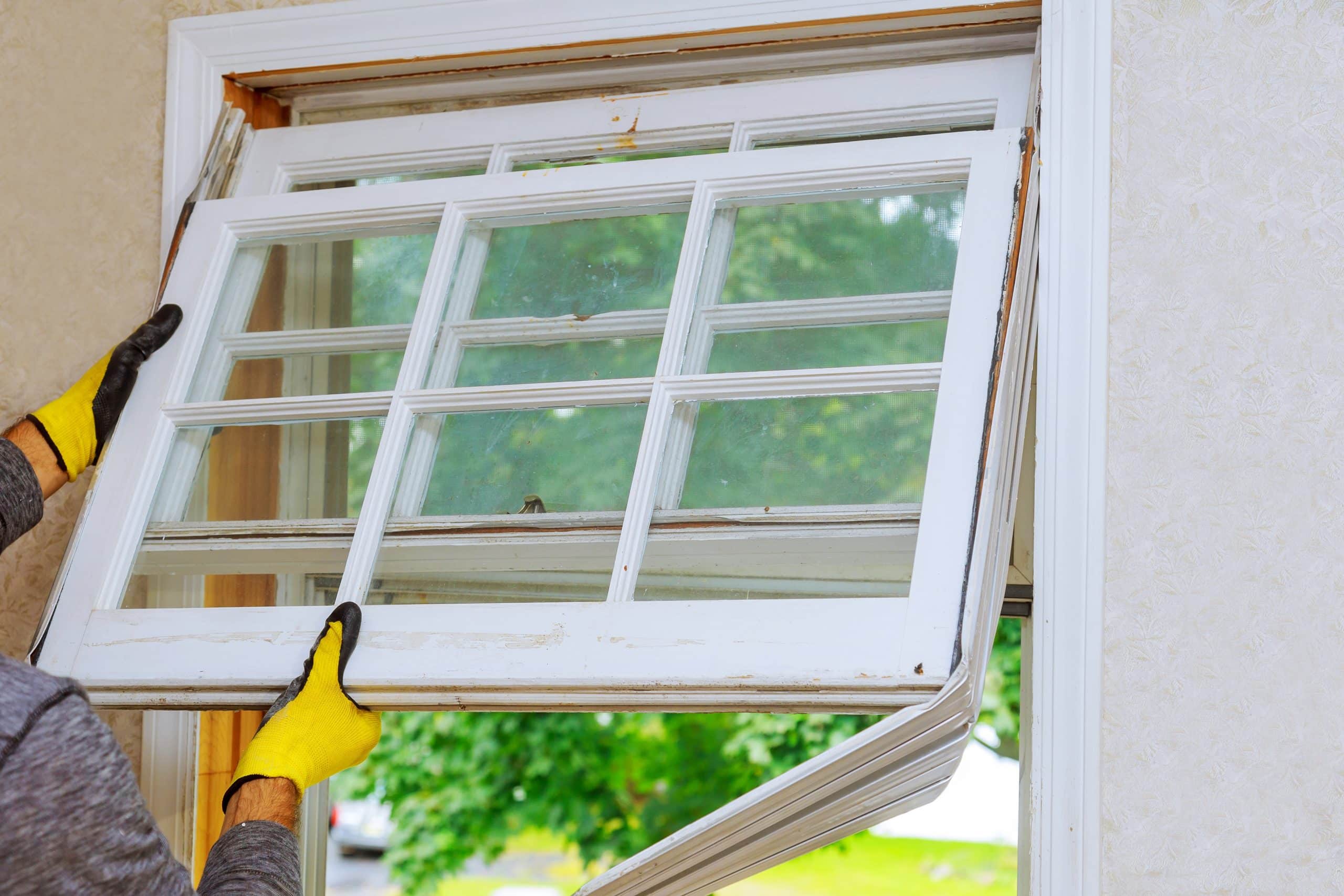 Comment choisir le bon type de fenêtre pour une efficacité énergétique optimale ?