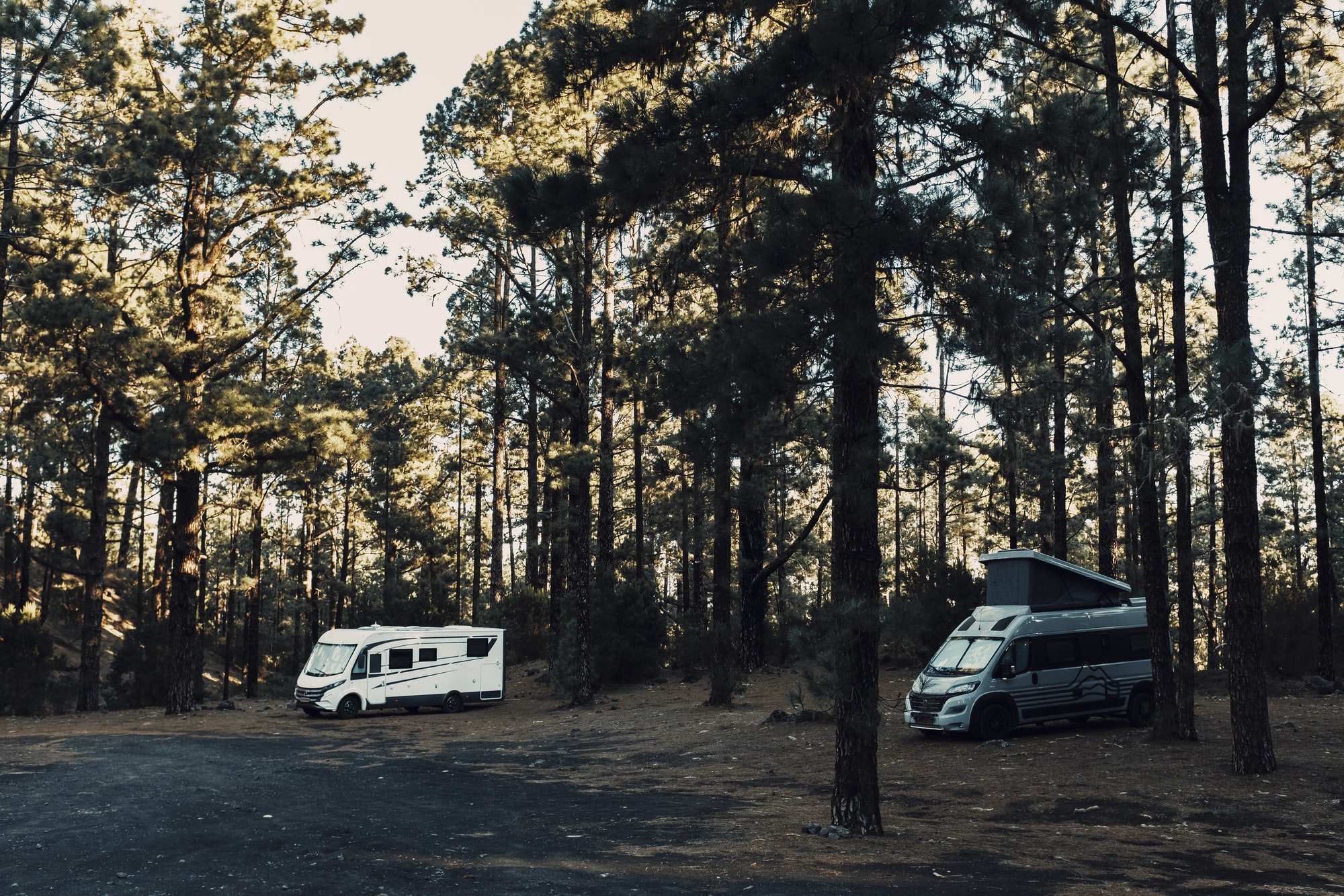 Quelles sont les options de camping sauvage en Vendée ?